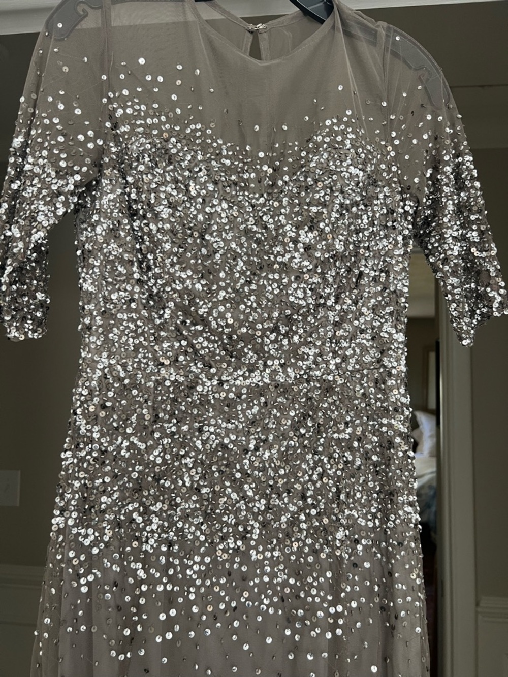 Adrianna Papell Taupe Evening Gown with Silver Sequins - Picture 4 of 4